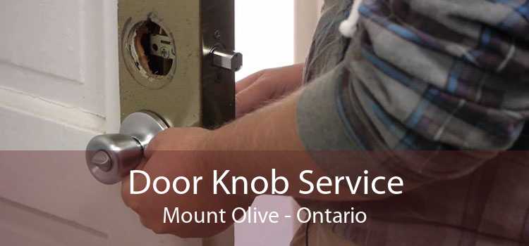 Door Knob Service Mount Olive - Ontario