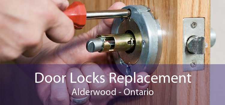 Door Locks Replacement Alderwood - Ontario