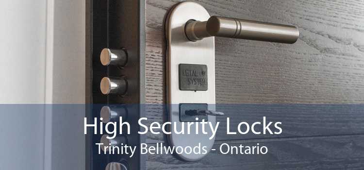 High Security Locks Trinity Bellwoods - Ontario