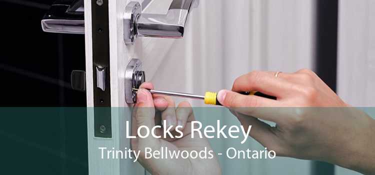 Locks Rekey Trinity Bellwoods - Ontario