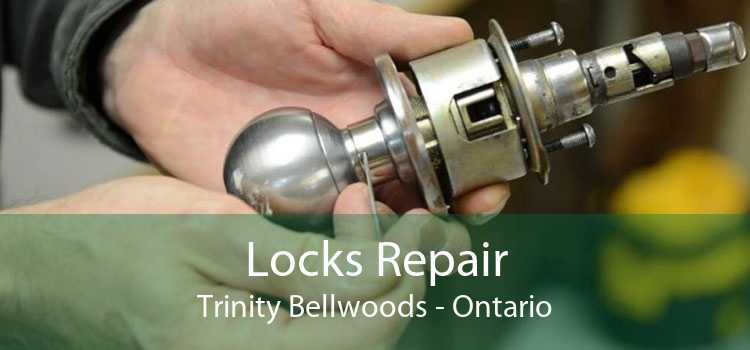 Locks Repair Trinity Bellwoods - Ontario