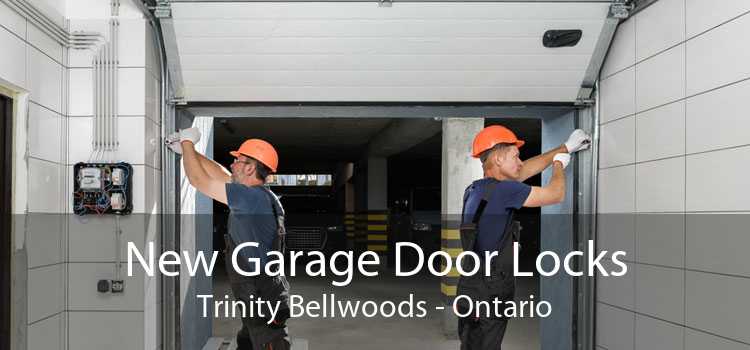 New Garage Door Locks Trinity Bellwoods - Ontario